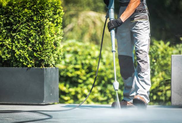 Best Graffiti Removal  in Negaunee, MI