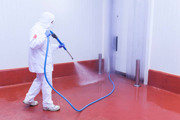  Negaunee, MI Pressure Washing Pros